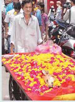 Lallu- the street dog being bid farewell
