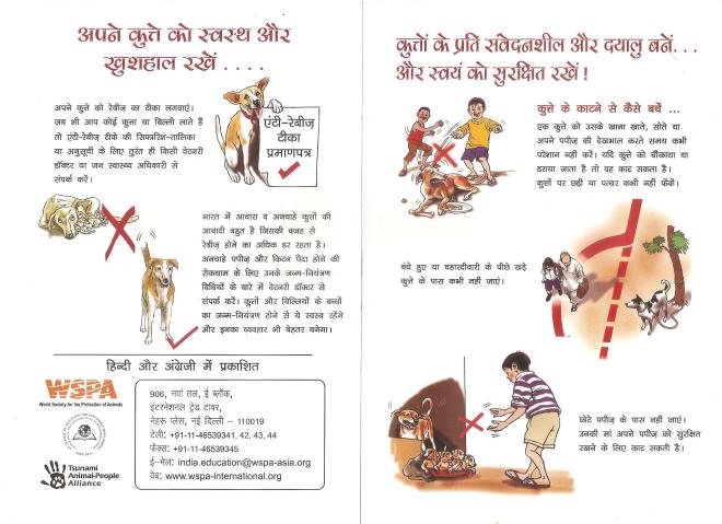 How to behave with a street dog_courtesy WSPA India (4)