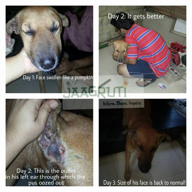 Chowki_Jaagruti_Swollen Face