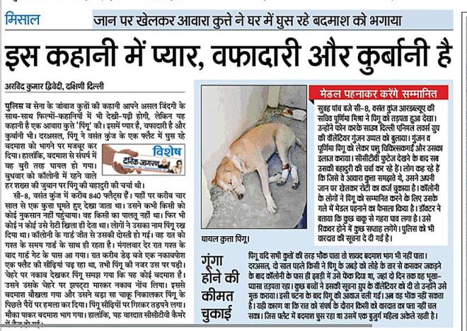 Pingu Story in Dainik Jagran