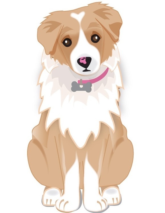 Choose your Pet Boarding&nbsp;WISELY