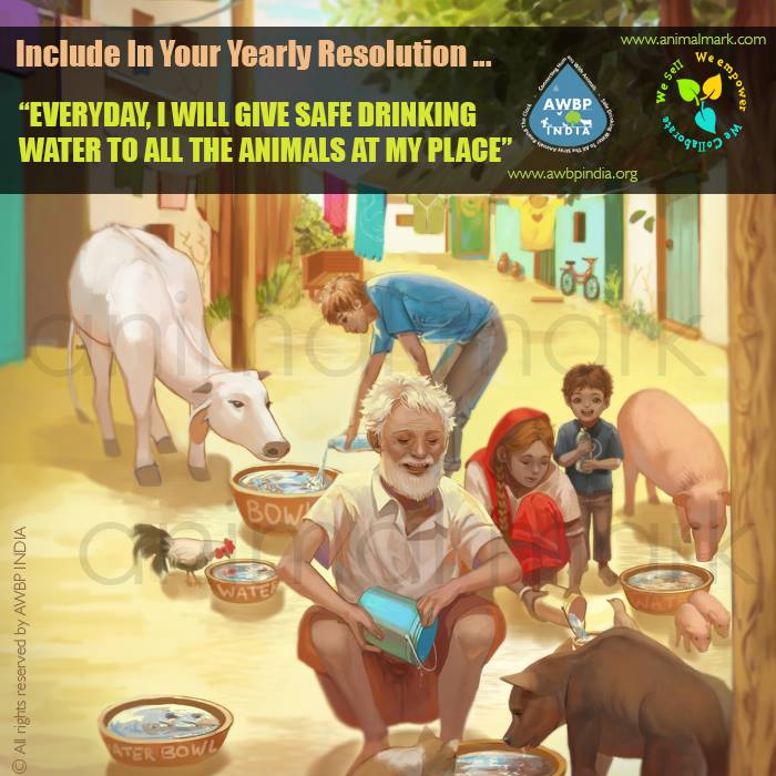 AWBP India_Animal Water Bowl Project
