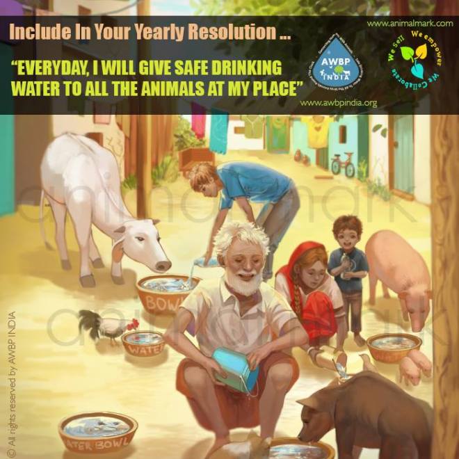 AWBP India_Animal Water Bowl Project